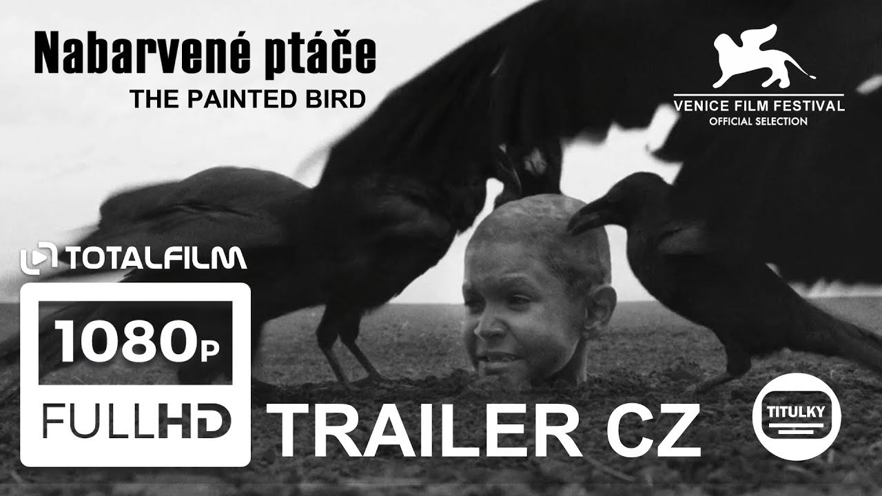 Nabarvené ptáče / The Painted Bird (2019) oficiální hlavní trailer HD